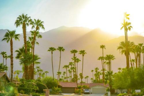 Zencasa Palm Springs Zen Retreat