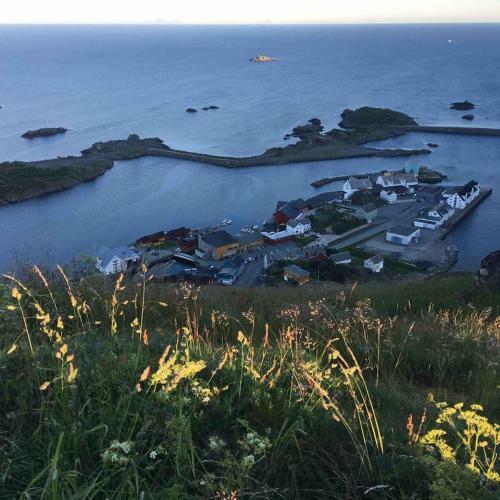 Modern Oceanfront Villa In The Centre Of Lofoten