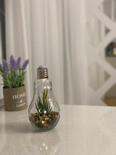 Apartament Promenada 1