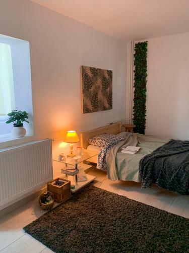 Apartamento Haven Estates - Studio Calea Aradului