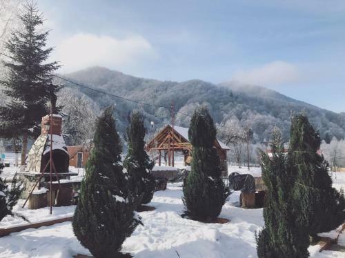 Hostal Pensiunea Florina