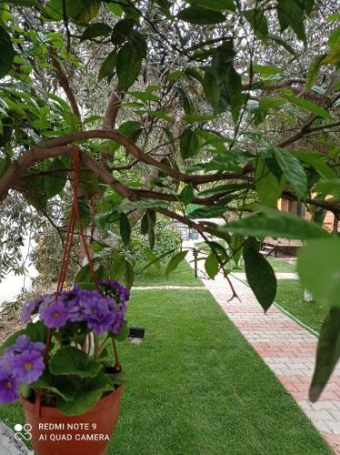 Apartamento Denizimapartbungalov