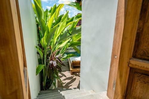 Yume Villas