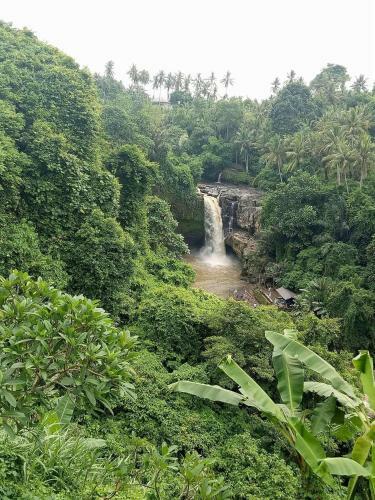 Rw Downtown Hostel Ubud
