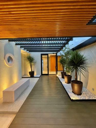 Apartamento Hidalgo 119 - Terraza Y Suites