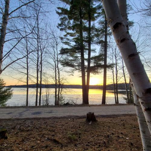 Muskoka Waterfront Retreat