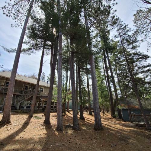 Muskoka Waterfront Retreat