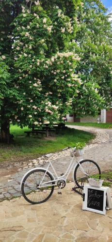 Hostal Vinn� Tunel