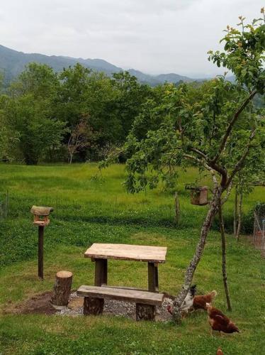Casa Rural El Cotu En Cangas De On�s