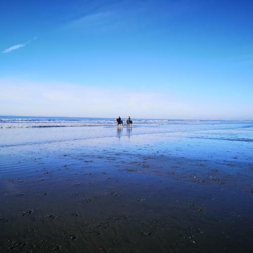 No 9 - Bracklesham Bay Apartment