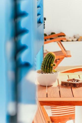 Apartamento Cacti E Fiori Ostria