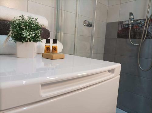 Apartament Pi?trowy Premium Centrum