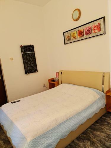 Hostal Conacul Haiducului