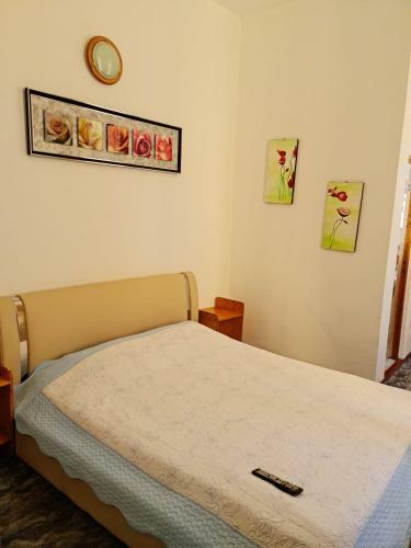 Hostal Conacul Haiducului
