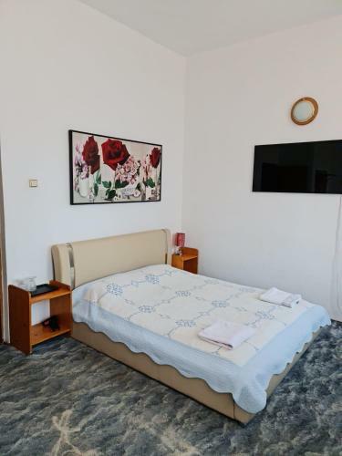 Hostal Conacul Haiducului