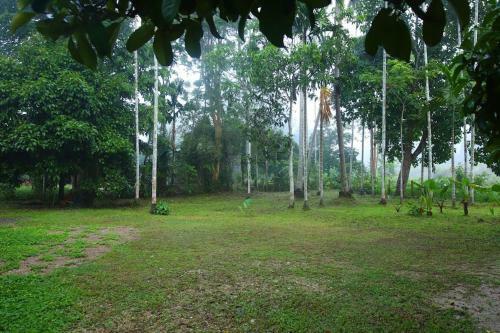 Bann Chi Homestay
