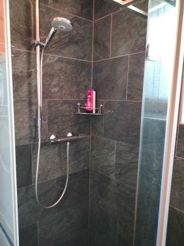 Bernina Apartament
