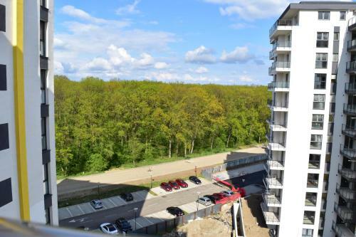 Forest View Apartment 2