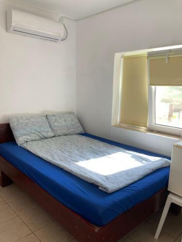 Vila Cristi Vama Veche