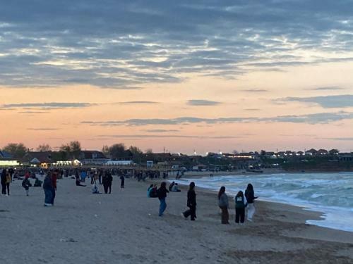 Vila Cristi Vama Veche