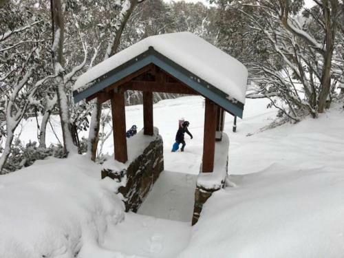 Apartamento Affordable Skiing Mt Buller - 450m From Ski Lift