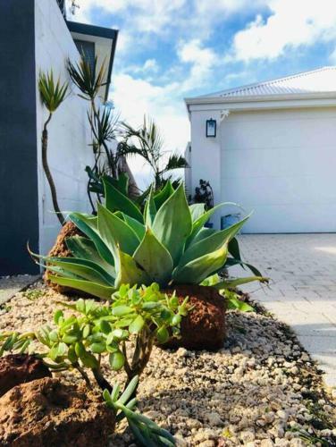 Avocet Beach House