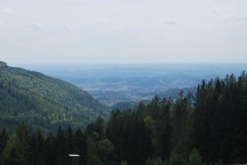 Apartamento Ferienh�tte Zetzhirsch