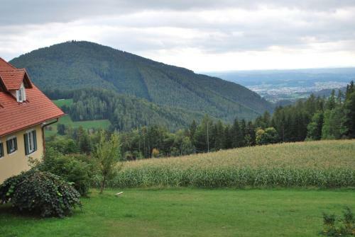 Apartamento Ferienh�tte Zetzhirsch