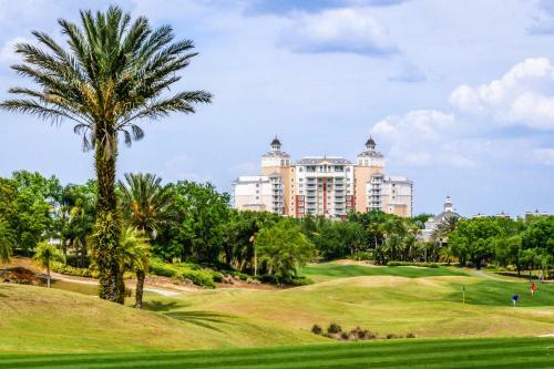 Molona Oasis