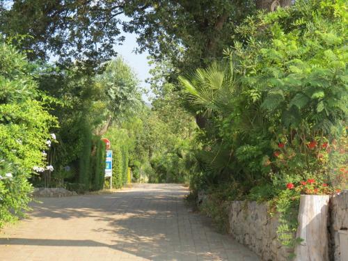 Camping Bella Vista