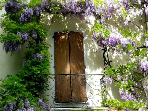 Country Hotel Ristorante Querce