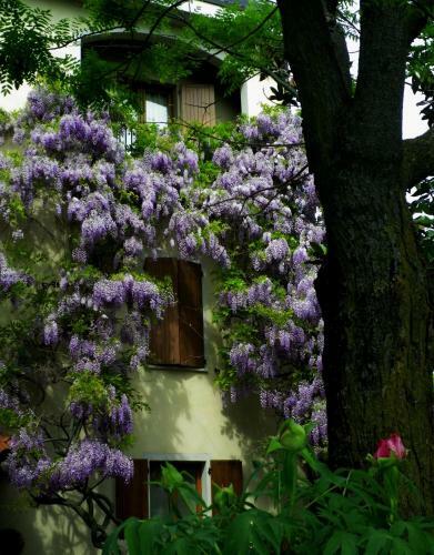Country Hotel Ristorante Querce