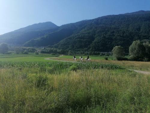 Agritur Airone Bed & Camping