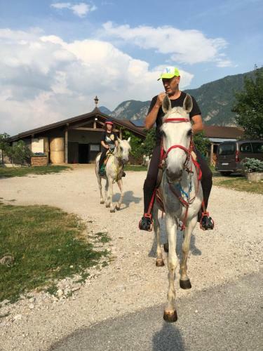 Agritur Airone Bed & Camping