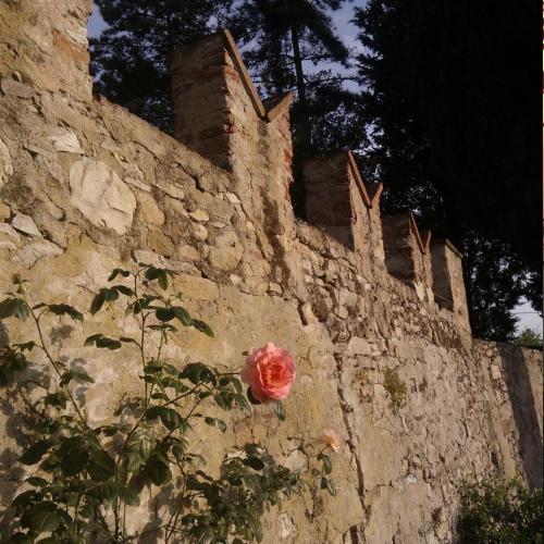 Apartamento Il Palagetto