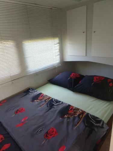 Lodge Domki U Dobrusi
