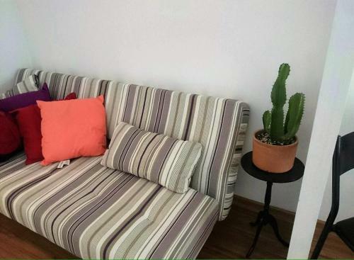 Apartment C109 S� Ferreira