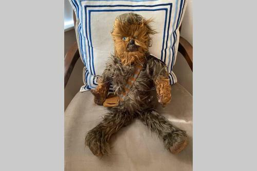 Cozy Comfortable Star-wars Family House W Private Heated Pool