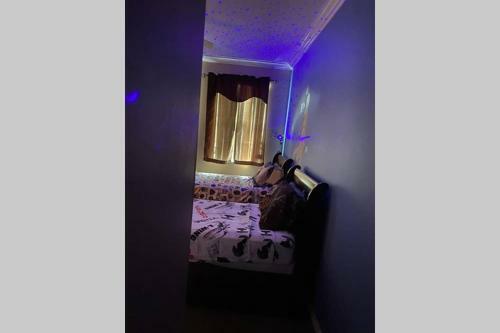 Cozy Comfortable Star-wars Family House W Private Heated Pool