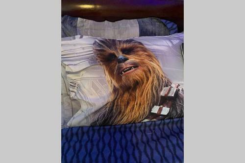 Cozy Comfortable Star-wars Family House W Private Heated Pool