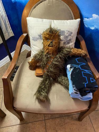 Cozy Comfortable Star-wars Family House W Private Heated Pool