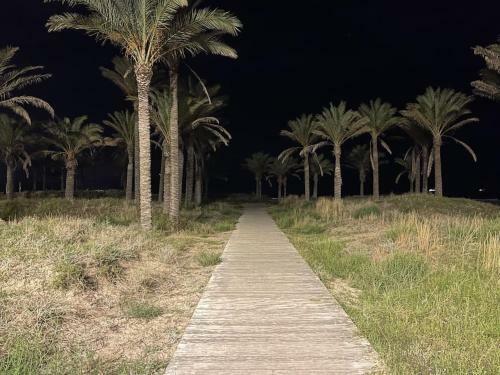 Apartamento Appartement ??los Pinos?? 50m De La Plage
