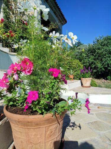 Bed & Breakfast Chambre D'h�tes Cottes