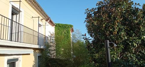Le Magnolia