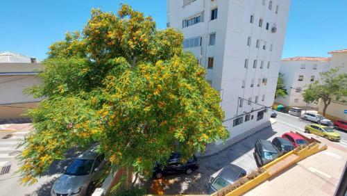 Apartamento Puerto Estepona