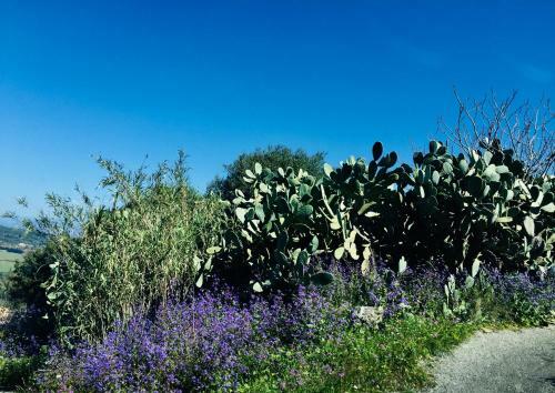 Meadows Views Traditional Stone Villa - Giannades