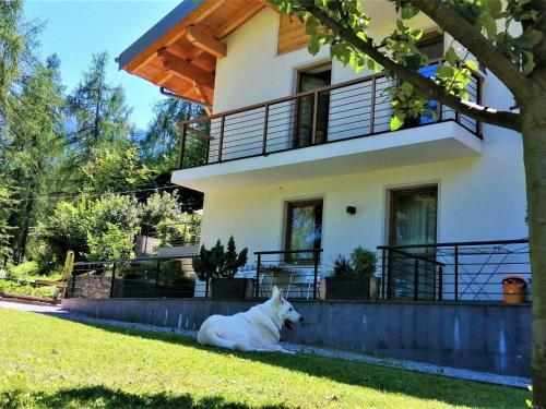 Pleasant Apartment In Val Di Sole With Balcony