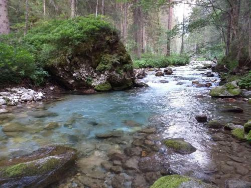 Pleasant Apartment In Val Di Sole With Balcony