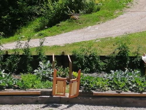 Pleasant Apartment In Val Di Sole With Balcony