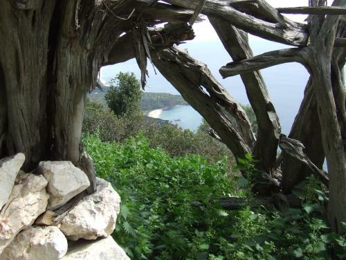 B&B Sa Madalena A Dorgali-iun E4918